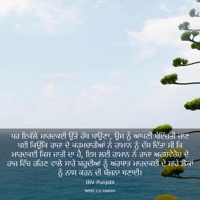 Picture 03 - ਅਸਤਰ 3:6 PANIRV - ਪਰ ਇਕੱਲੇ ਮਾਰਦਕਈ - Bible Verse Picture