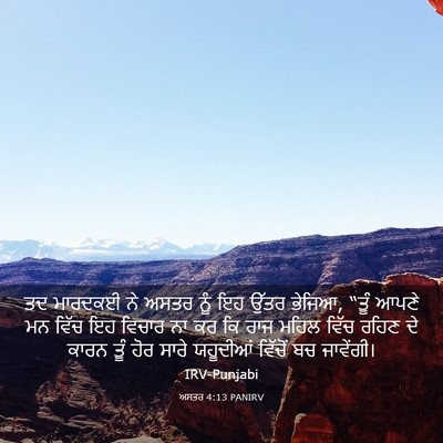 Picture 03 - ਅਸਤਰ 4:13 PANIRV - ਤਦ ਮਾਰਦਕਈ ਨੇ ਅਸਤਰ - Bible Verse Picture