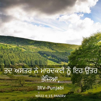Picture 03 - ਅਸਤਰ 4:15 PANIRV - ਤਦ ਅਸਤਰ ਨੇ ਮਾਰਦਕਈ - Bible Verse Picture