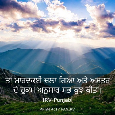 Picture 03 - ਅਸਤਰ 4:17 PANIRV - ਤਾਂ ਮਾਰਦਕਈ ਚਲਾ ਗਿਆ - Bible Verse Picture