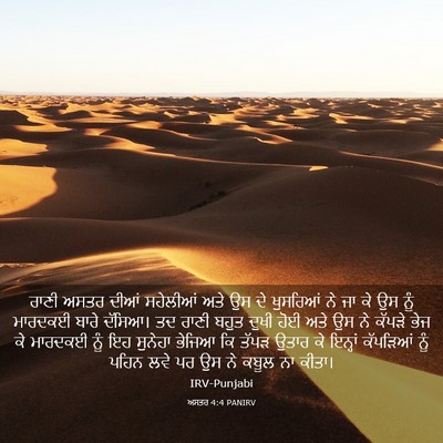 Picture 03 - ਅਸਤਰ 4:4 PANIRV - ਰਾਣੀ ਅਸਤਰ ਦੀਆਂ - Bible Verse Picture