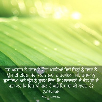 Picture 03 - ਅਸਤਰ 4:5 PANIRV - ਤਦ ਅਸਤਰ ਨੇ ਰਾਜਾ ਦੇ - Bible Verse Picture
