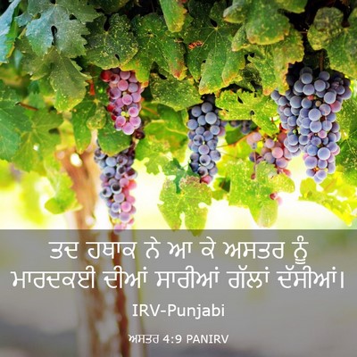 Picture 03 - ਅਸਤਰ 4:9 PANIRV - ਤਦ ਹਥਾਕ ਨੇ ਆ ਕੇ - Bible Verse Picture