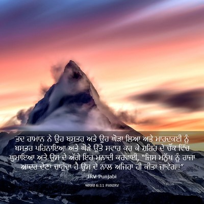 Picture 03 - ਅਸਤਰ 6:11 PANIRV - ਤਦ ਹਾਮਾਨ ਨੇ ਉਹ ਬਸਤਰ - Bible Verse Picture