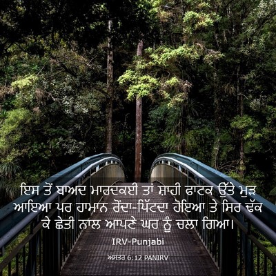 Picture 03 - ਅਸਤਰ 6:12 PANIRV - ਇਸ ਤੋਂ ਬਾਅਦ ਮਾਰਦਕਈ - Bible Verse Picture