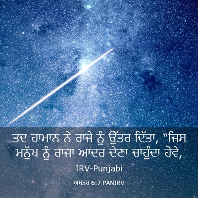 Picture 03 - ਅਸਤਰ 6:7 PANIRV - ਤਦ ਹਾਮਾਨ ਨੇ ਰਾਜੇ - Bible Verse Picture