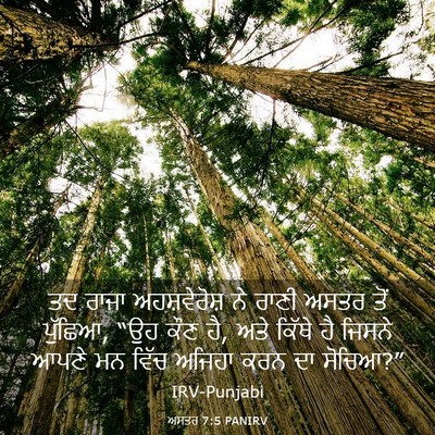 Picture 03 - ਅਸਤਰ 7:5 PANIRV - ਤਦ ਰਾਜਾ - Bible Verse Picture