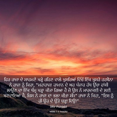 Picture 03 - ਅਸਤਰ 7:9 PANIRV - ਫਿਰ ਰਾਜਾ ਦੇ ਸਾਹਮਣੇ - Bible Verse Picture