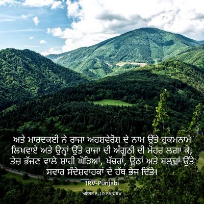 Picture 03 - ਅਸਤਰ 8:10 PANIRV - ਅਤੇ ਮਾਰਦਕਈ ਨੇ ਰਾਜਾ - Bible Verse Picture