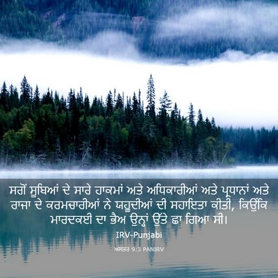 Picture 03 - ਅਸਤਰ 9:3 PANIRV - ਸਗੋਂ ਸੂਬਿਆਂ ਦੇ - Bible Verse Picture