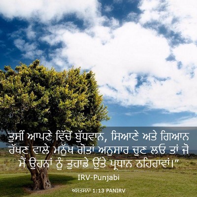 Picture 03 - ਅਸਤਸਨਾ 1:13 PANIRV - ਤੁਸੀਂ ਆਪਣੇ ਵਿੱਚੋਂ - Bible Verse Picture
