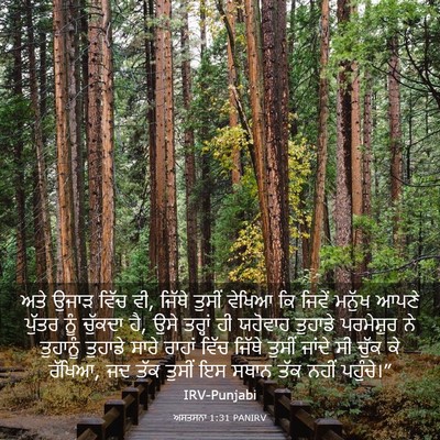 Picture 03 - ਅਸਤਸਨਾ 1:31 PANIRV - ਅਤੇ ਉਜਾੜ ਵਿੱਚ ਵੀ, - Bible Verse Picture