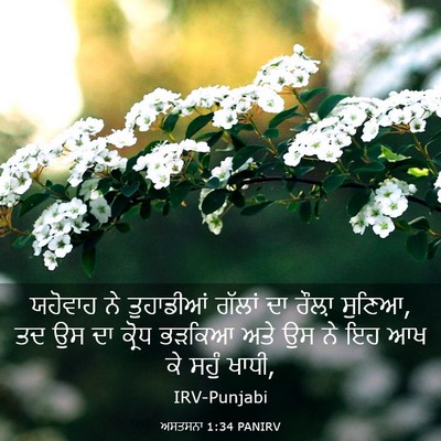 Picture 03 - ਅਸਤਸਨਾ 1:34 PANIRV - ਯਹੋਵਾਹ ਨੇ - Bible Verse Picture
