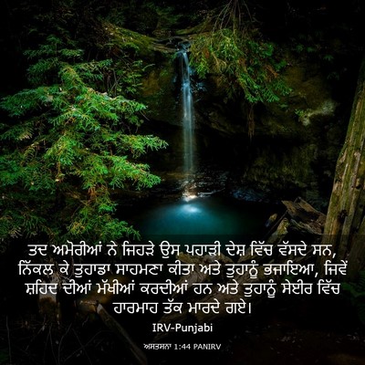 Picture 03 - ਅਸਤਸਨਾ 1:44 PANIRV - ਤਦ ਅਮੋਰੀਆਂ ਨੇ - Bible Verse Picture