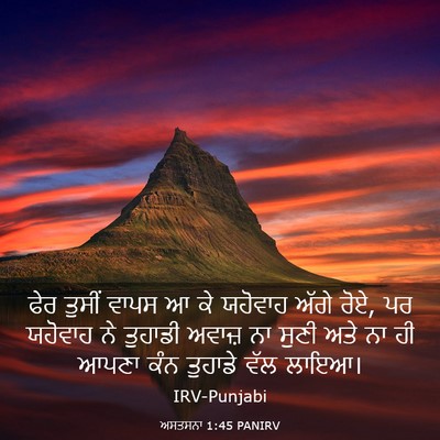 Picture 03 - ਅਸਤਸਨਾ 1:45 PANIRV - ਫੇਰ ਤੁਸੀਂ ਵਾਪਸ ਆ ਕੇ - Bible Verse Picture