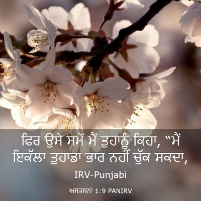Picture 03 - ਅਸਤਸਨਾ 1:9 PANIRV - ਫਿਰ ਉਸੇ ਸਮੇਂ ਮੈਂ - Bible Verse Picture