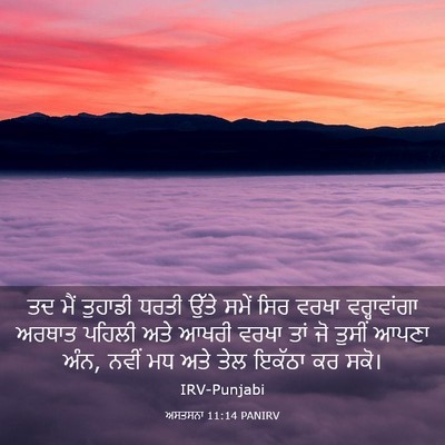 Picture 03 - ਅਸਤਸਨਾ 11:14 PANIRV - ਤਦ ਮੈਂ ਤੁਹਾਡੀ ਧਰਤੀ - Bible Verse Picture