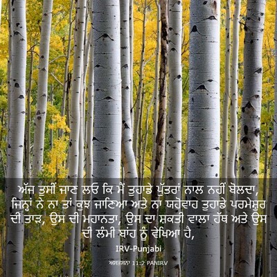 Picture 03 - ਅਸਤਸਨਾ 11:2 PANIRV - ਅੱਜ ਤੁਸੀਂ ਜਾਣ ਲਓ ਕਿ - Bible Verse Picture