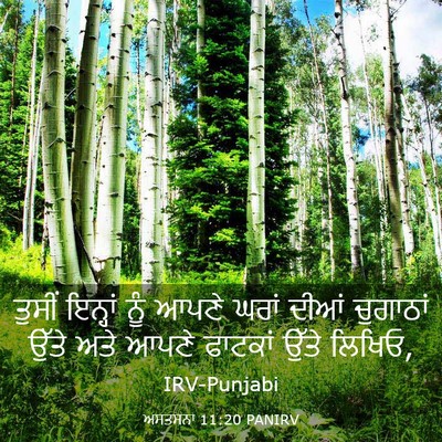 Picture 03 - ਅਸਤਸਨਾ 11:20 PANIRV - ਤੁਸੀਂ ਇਨ੍ਹਾਂ ਨੂੰ - Bible Verse Picture