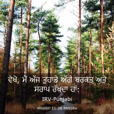 Picture 03 - ਅਸਤਸਨਾ 11:26 PANIRV - ਵੇਖੋ, ਮੈਂ ਅੱਜ - Bible Verse Picture