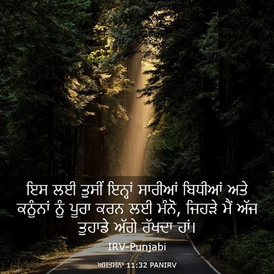 Picture 03 - ਅਸਤਸਨਾ 11:32 PANIRV - ਇਸ ਲਈ ਤੁਸੀਂ ਇਨ੍ਹਾਂ - Bible Verse Picture