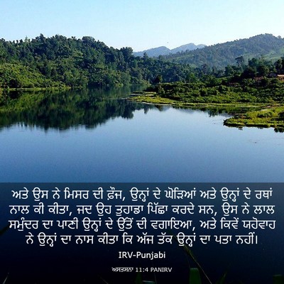 Picture 03 - ਅਸਤਸਨਾ 11:4 PANIRV - ਅਤੇ ਉਸ ਨੇ ਮਿਸਰ ਦੀ - Bible Verse Picture