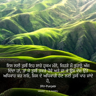 Picture 03 - ਅਸਤਸਨਾ 11:8 PANIRV - ਇਸ ਲਈ ਤੁਸੀਂ ਇਹ ਸਾਰੇ - Bible Verse Picture