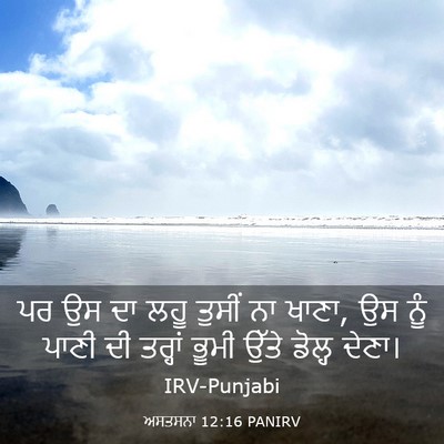 Picture 03 - ਅਸਤਸਨਾ 12:16 PANIRV - ਪਰ ਉਸ ਦਾ ਲਹੂ ਤੁਸੀਂ - Bible Verse Picture