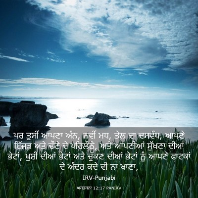 Picture 03 - ਅਸਤਸਨਾ 12:17 PANIRV - ਪਰ ਤੁਸੀਂ ਆਪਣਾ ਅੰਨ, - Bible Verse Picture
