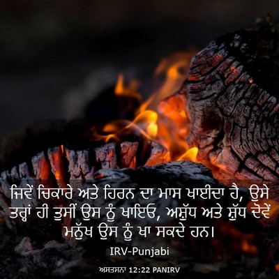 Picture 03 - ਅਸਤਸਨਾ 12:22 PANIRV - ਜਿਵੇਂ ਚਿਕਾਰੇ ਅਤੇ - Bible Verse Picture