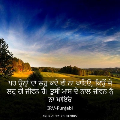 Picture 03 - ਅਸਤਸਨਾ 12:23 PANIRV - ਪਰ ਉਨ੍ਹਾਂ ਦਾ ਲਹੂ - Bible Verse Picture