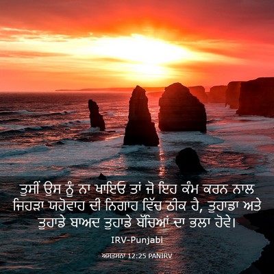 Picture 03 - ਅਸਤਸਨਾ 12:25 PANIRV - ਤੁਸੀਂ ਉਸ ਨੂੰ ਨਾ - Bible Verse Picture
