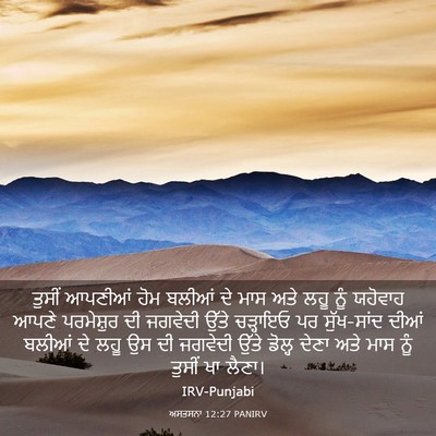 Picture 03 - ਅਸਤਸਨਾ 12:27 PANIRV - ਤੁਸੀਂ ਆਪਣੀਆਂ ਹੋਮ - Bible Verse Picture