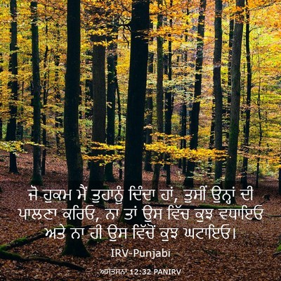 Picture 03 - ਅਸਤਸਨਾ 12:32 PANIRV - ਜੋ ਹੁਕਮ ਮੈਂ - Bible Verse Picture