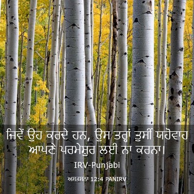 Picture 03 - ਅਸਤਸਨਾ 12:4 PANIRV - ਜਿਵੇਂ ਉਹ ਕਰਦੇ ਹਨ, - Bible Verse Picture