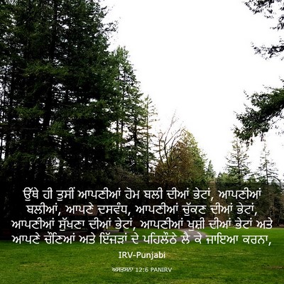 Picture 03 - ਅਸਤਸਨਾ 12:6 PANIRV - ਉੱਥੇ ਹੀ ਤੁਸੀਂ - Bible Verse Picture