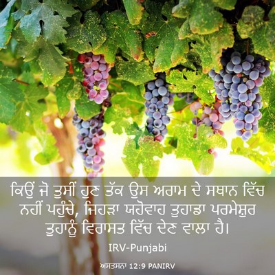 Picture 03 - ਅਸਤਸਨਾ 12:9 PANIRV - ਕਿਉਂ ਜੋ ਤੁਸੀਂ ਹੁਣ - Bible Verse Picture
