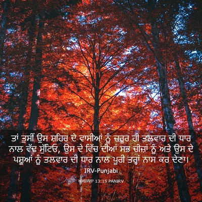 Picture 03 - ਅਸਤਸਨਾ 13:15 PANIRV - ਤਾਂ ਤੁਸੀਂ ਉਸ ਸ਼ਹਿਰ - Bible Verse Picture