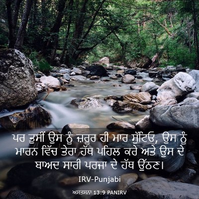 Picture 03 - ਅਸਤਸਨਾ 13:9 PANIRV - ਪਰ ਤੁਸੀਂ ਉਸ ਨੂੰ - Bible Verse Picture
