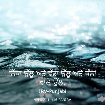 Picture 03 - ਅਸਤਸਨਾ 14:16 PANIRV - ਨਿੱਕਾ ਉੱਲੂ ਅਤੇ - Bible Verse Picture