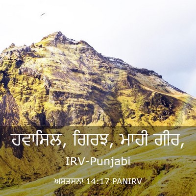 Picture 03 - ਅਸਤਸਨਾ 14:17 PANIRV - ਹਵਾਸਿਲ, ਗਿਰਝ, ਮਾਹੀ - Bible Verse Picture
