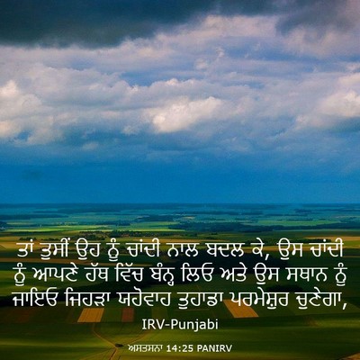 Picture 03 - ਅਸਤਸਨਾ 14:25 PANIRV - ਤਾਂ ਤੁਸੀਂ ਉਹ ਨੂੰ - Bible Verse Picture