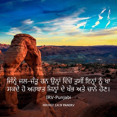 Picture 03 - ਅਸਤਸਨਾ 14:9 PANIRV - ਜਿੰਨ੍ਹੇ ਜਲ-ਜੰਤੂ ਹਨ - Bible Verse Picture
