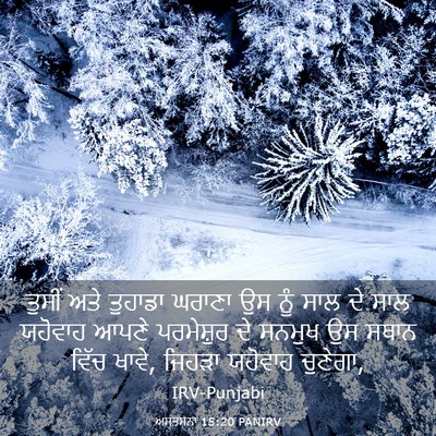 Picture 03 - ਅਸਤਸਨਾ 15:20 PANIRV - ਤੁਸੀਂ ਅਤੇ ਤੁਹਾਡਾ - Bible Verse Picture