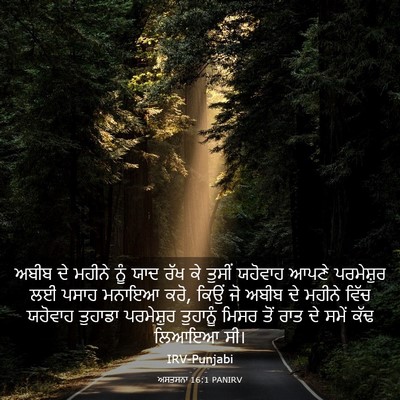 Picture 03 - ਅਸਤਸਨਾ 16:1 PANIRV - ਅਬੀਬ ਦੇ ਮਹੀਨੇ ਨੂੰ - Bible Verse Picture
