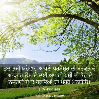 Picture 03 - ਅਸਤਸਨਾ 16:10 PANIRV - ਤਦ ਤੁਸੀਂ ਯਹੋਵਾਹ - Bible Verse Picture