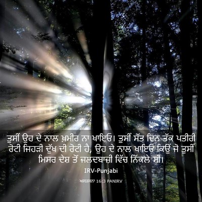 Picture 03 - ਅਸਤਸਨਾ 16:3 PANIRV - ਤੁਸੀਂ ਉਹ ਦੇ ਨਾਲ - Bible Verse Picture