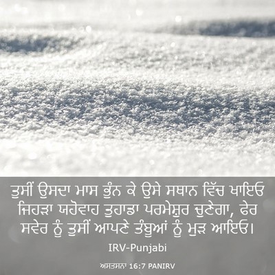 Picture 03 - ਅਸਤਸਨਾ 16:7 PANIRV - ਤੁਸੀਂ ਉਸਦਾ ਮਾਸ - Bible Verse Picture