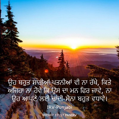 Picture 03 - ਅਸਤਸਨਾ 17:17 PANIRV - ਉਹ ਬਹੁਤ ਸਾਰੀਆਂ - Bible Verse Picture