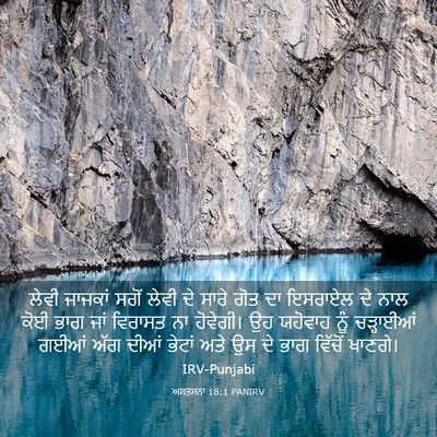 Picture 03 - ਅਸਤਸਨਾ 18:1 PANIRV - ਲੇਵੀ ਜਾਜਕਾਂ ਸਗੋਂ - Bible Verse Picture